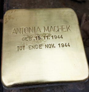 <p>ANTONIA MACHEK<br />
GEB. 15.11.1944<br />
TOT ENDE NOV. 1944</p>
